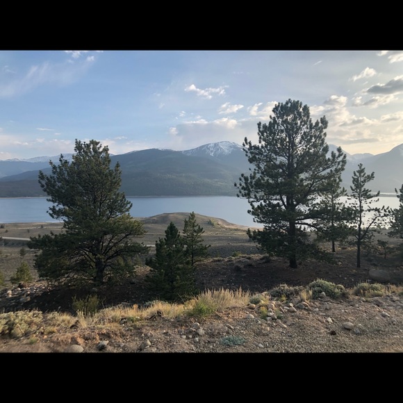 Meet your Posher, Carol - Picture 3 of 3